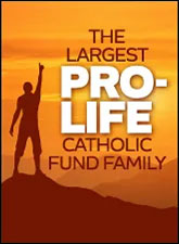 Ave Maria Mutual Funds Tall Sponsorship Banner